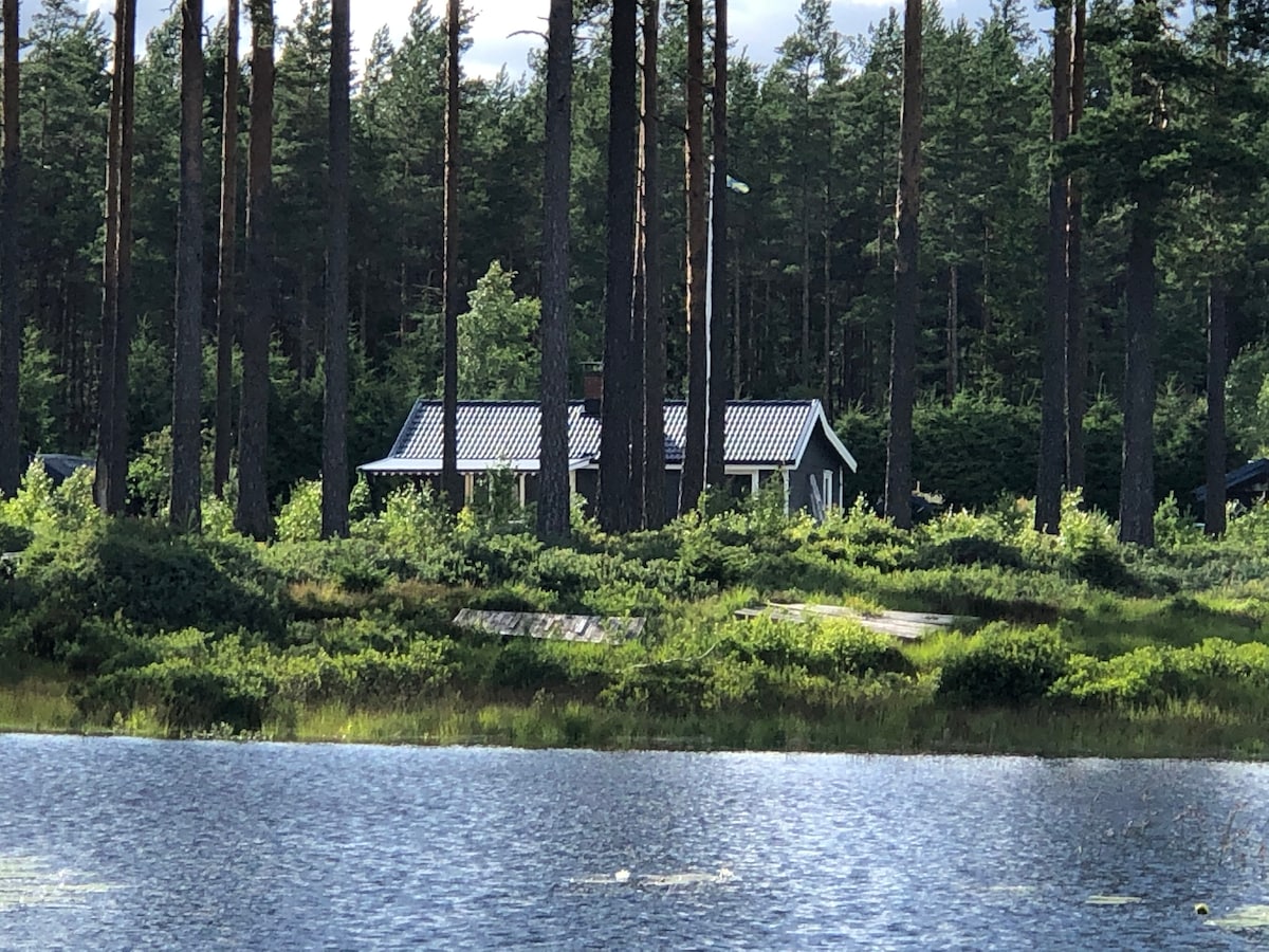 A charming cottage is nestled among tall pine trees near the edge of a serene lake. The building features a simple, sloped roof and large windows that reflect the surrounding greenery, creating a sense of privacy and tranquility in nature.