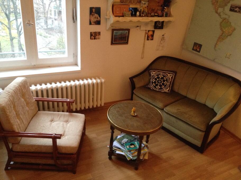 livingroom in the room