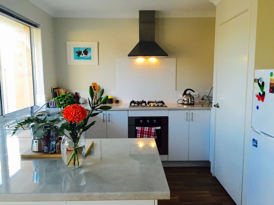A clean, bright fully equipped kitchen.