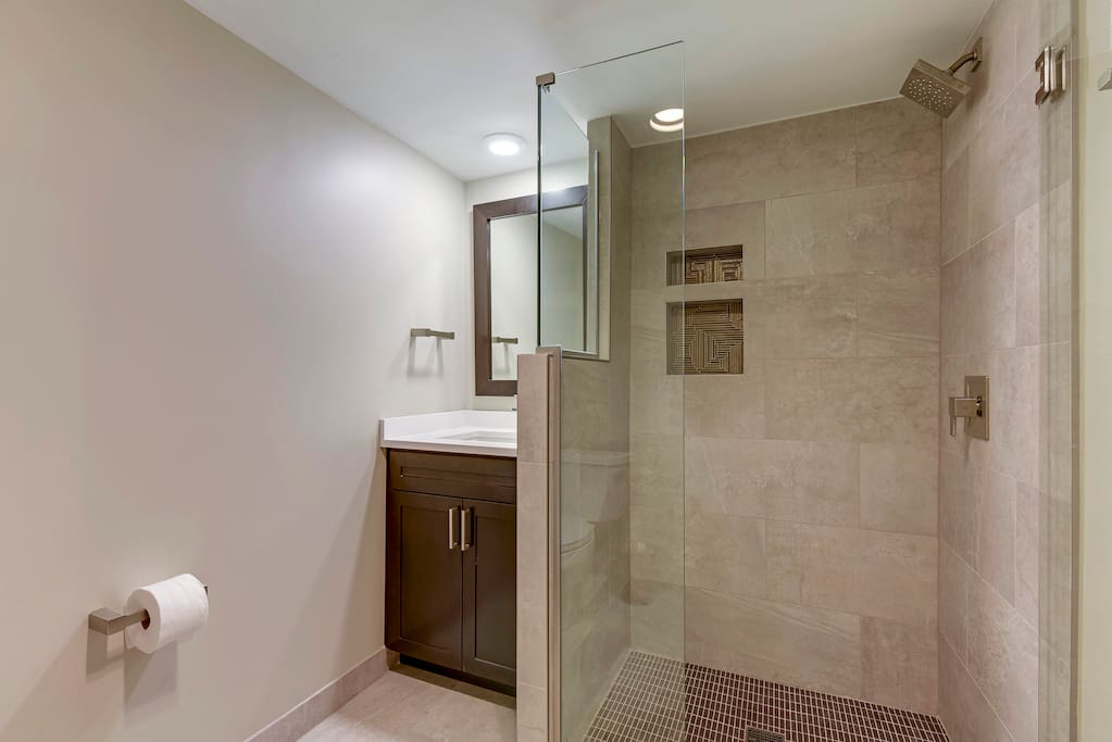 Updated Lower level Shower and bathroom.