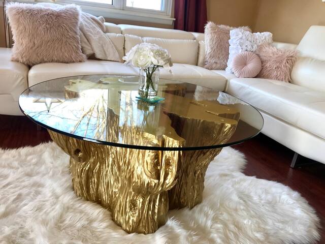 Stylish Newly Furnished Rochester Condominium
