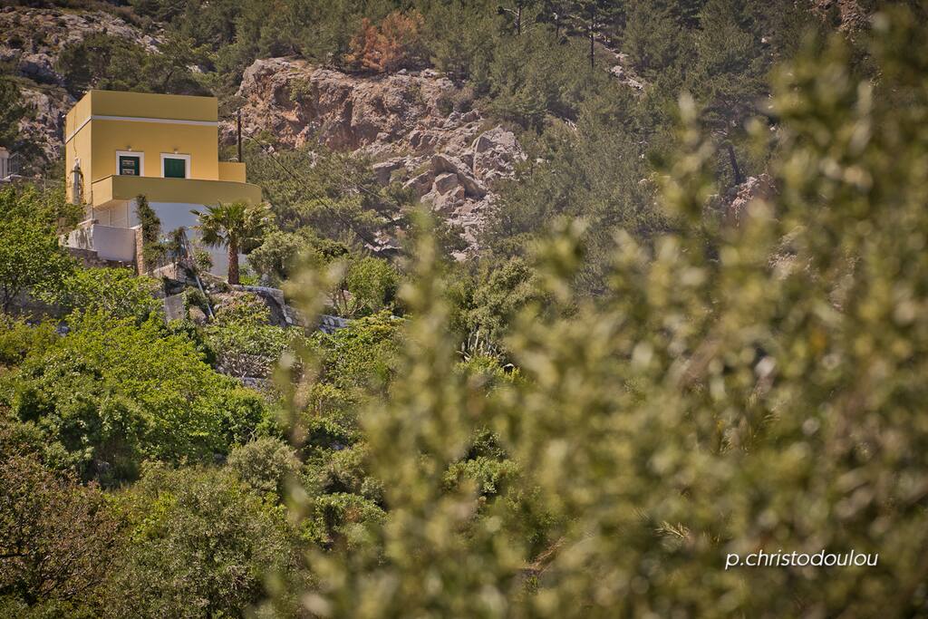 Bottom view of the house