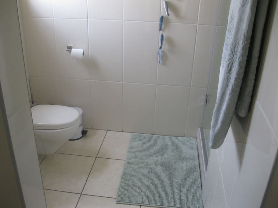 The bathroom, basin and shower on the right