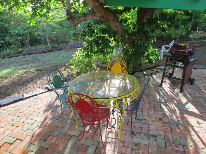 Ackee Abode Spacious 1 Bedroom Apartments for Rent in Christiansted