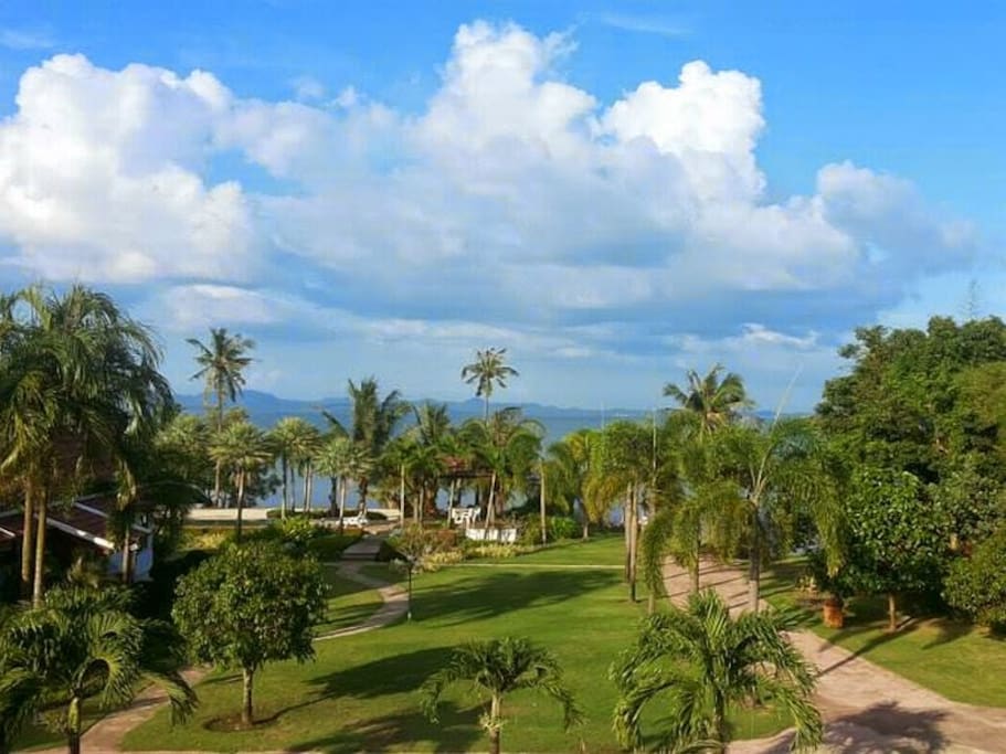 View from Lavender