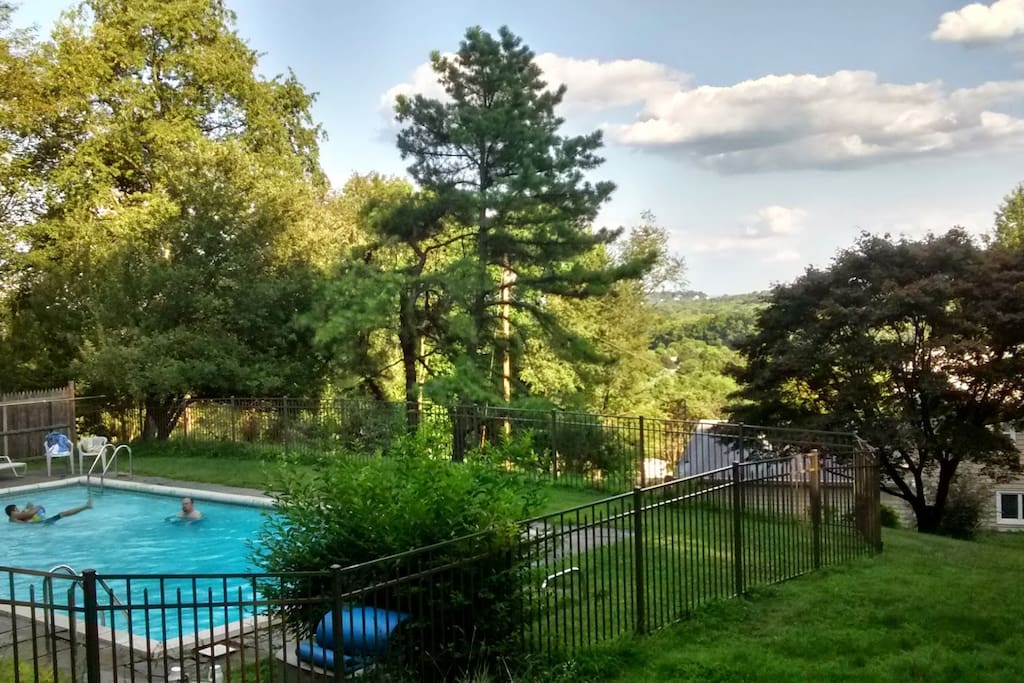 Backyard Panoramic View (Spring/Summer Picture)