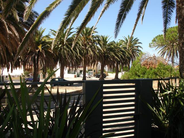 Luxury house w/pool+jacuzzi+games gallery image 2