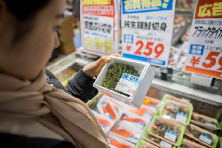 Foto da experiência 1