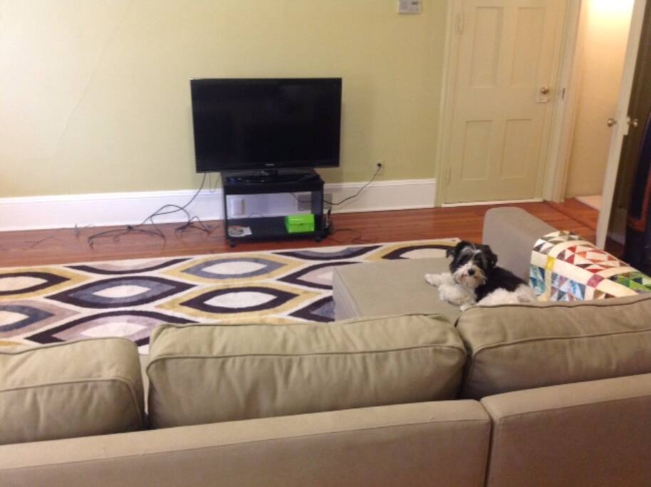 extinguisher fire homemade foam Rent Houses house for foothills PA Spacious in in of extinguisher fire homemade foam Rent Houses house for foothills PA Spacious in in of