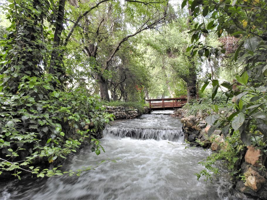 Fern Creek Cottage peaceful creekside setting Cabins for Rent in