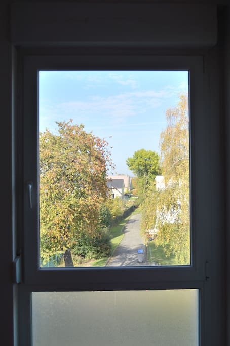 view