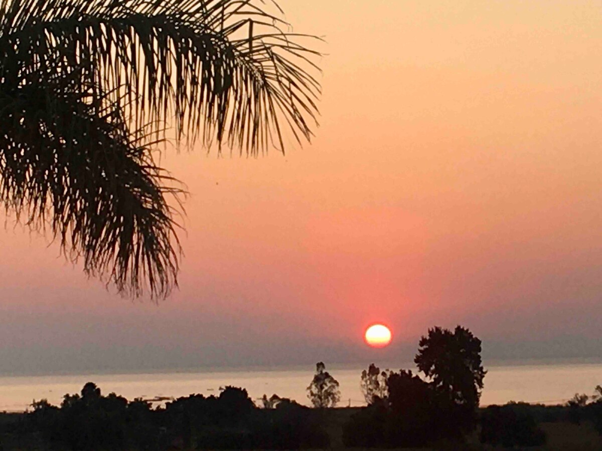 A serene sunset is captured over the horizon, with the sun appearing as a glowing orb against a gradient sky. Silhouettes of trees and palm fronds frame the scene, contributing to the tranquil atmosphere of the location.