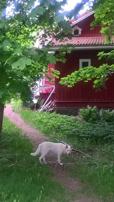 Its behind the trees, its red and old