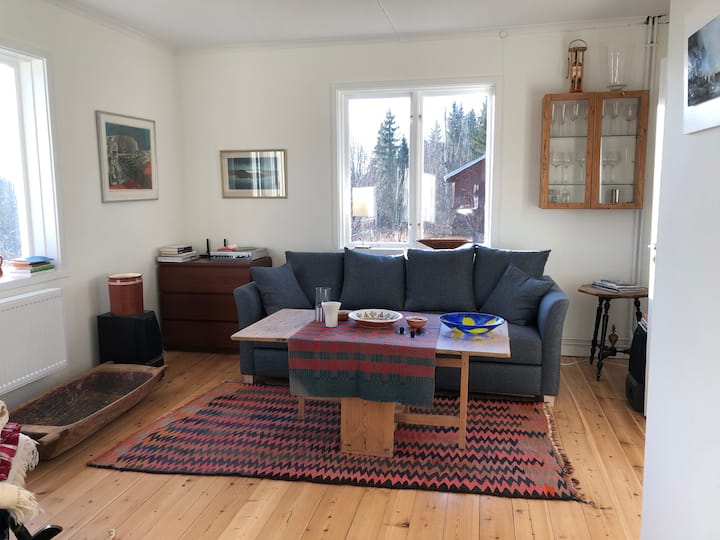Vardagsrum med bäddsoffa
