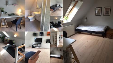 Large room in nordic style with sofa arr. & bath