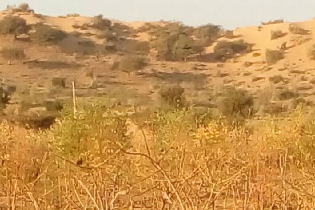 view from Huts