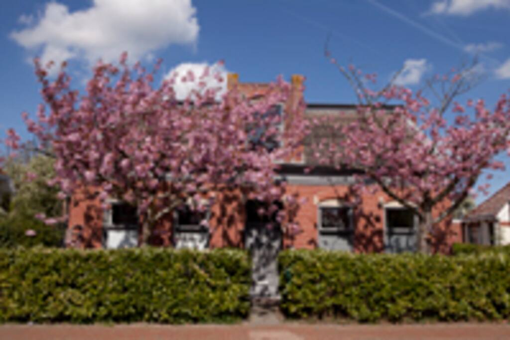 voorzijde huis