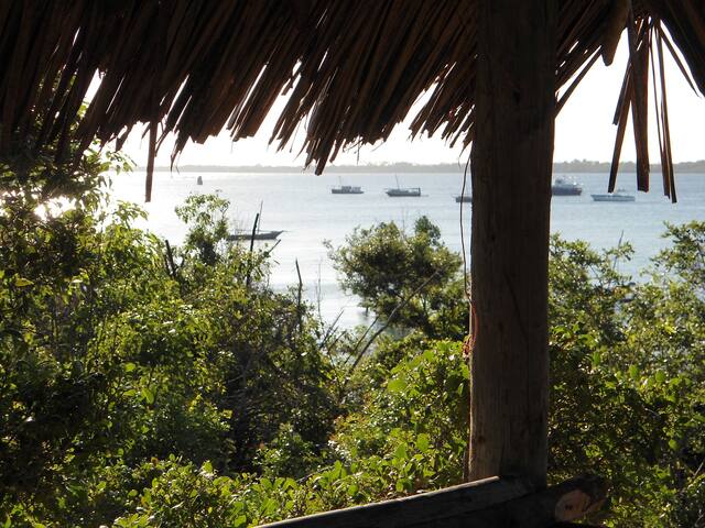 Blue Monkey Beach Cottage On Wasini Island Hytter Til Leje I