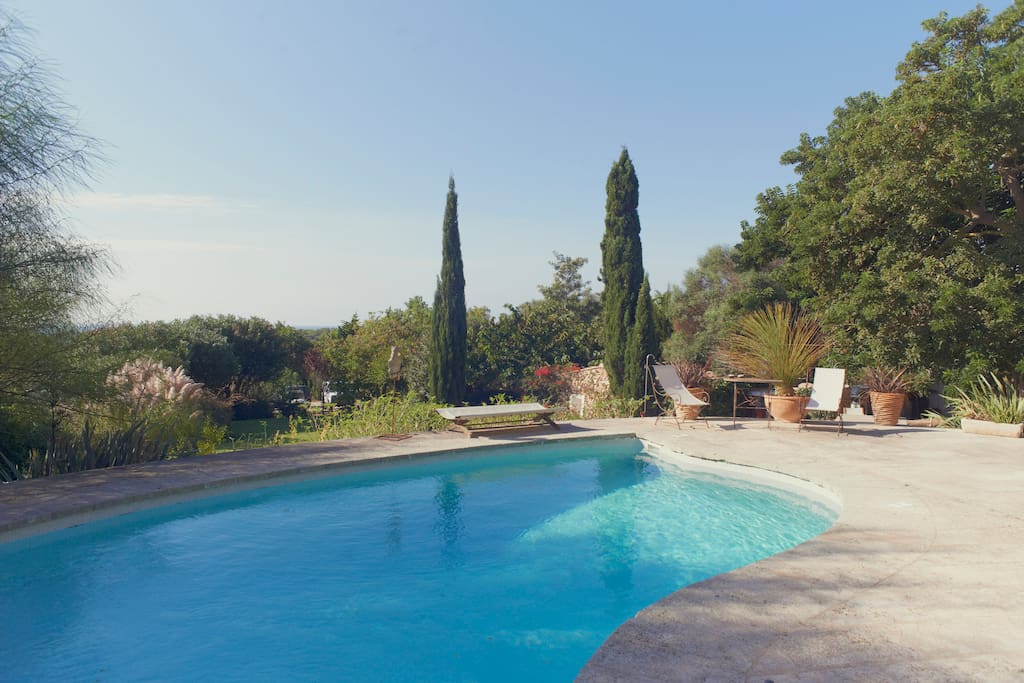 Swimming pool and terrace