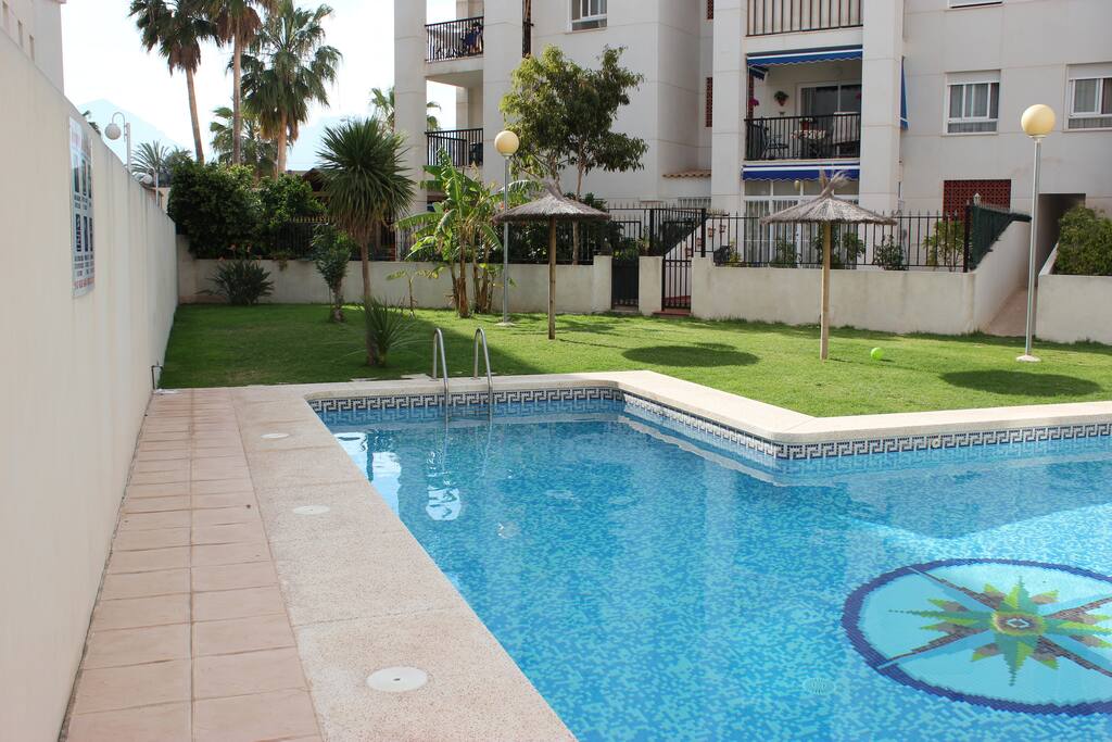 swimming pool and garden