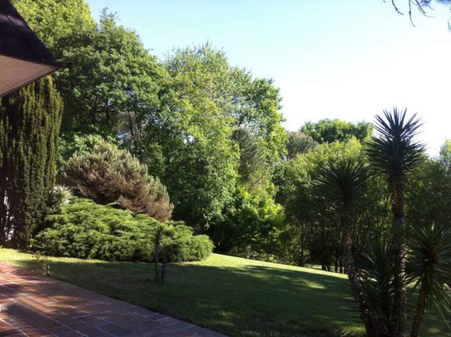 garden