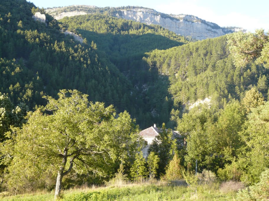 la maison dans son environnement