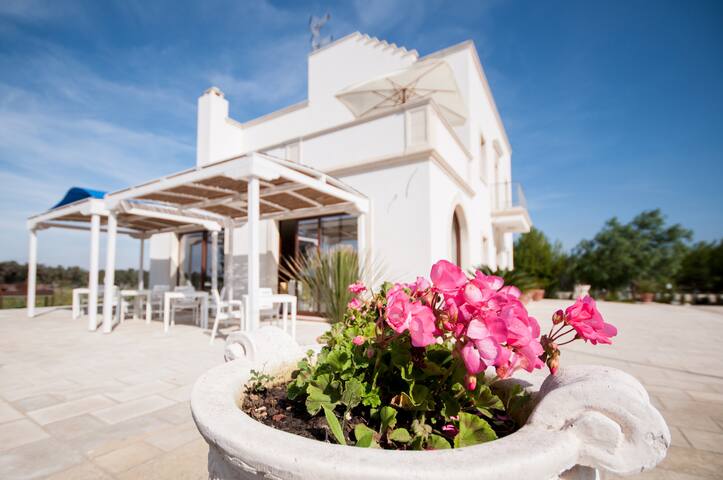 Tenuta Terraluna gallery image 3