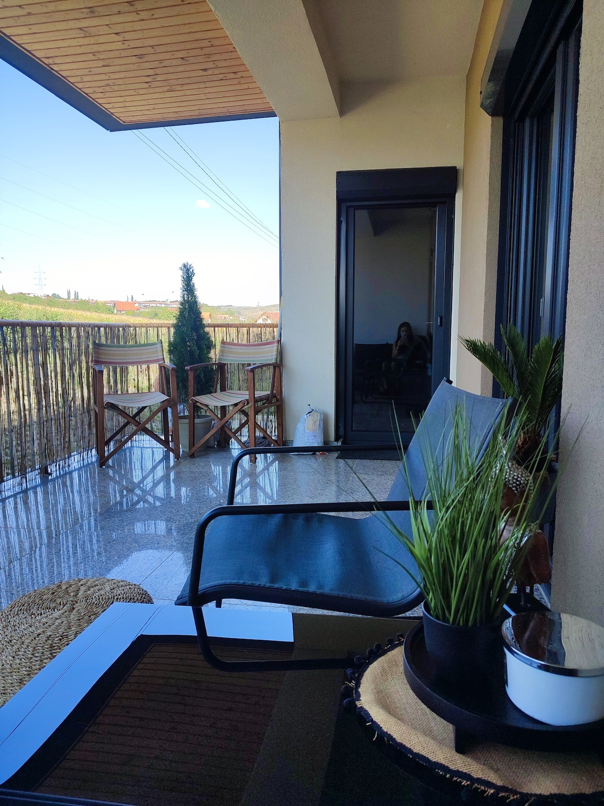 An outdoor balcony space is presented, featuring two black chairs and a round table. Lush green plants are arranged on a tray, adding a touch of nature. The area is bathed in natural light, with expansive views visible through the glass doors.