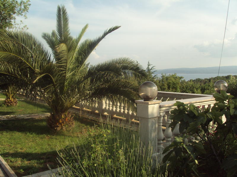A lush garden area features tall palm trees and ornamental plants, with a stone railing overlooking a stunning view of the coastline. Soft grass and decorative bushes surround the space, while spherical garden lights add an elegant touch. The sky is clear with hints of clouds.
