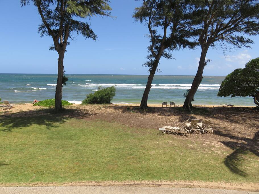 Direct oceanfront!