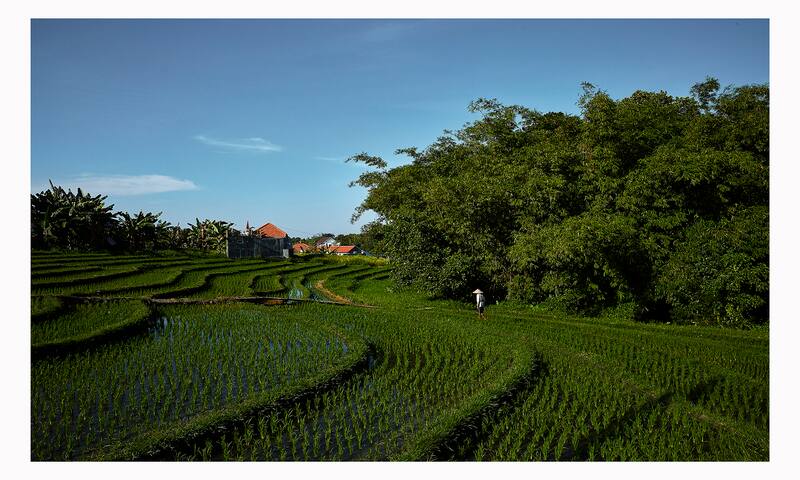 The Laut managed Airbnb listing 1