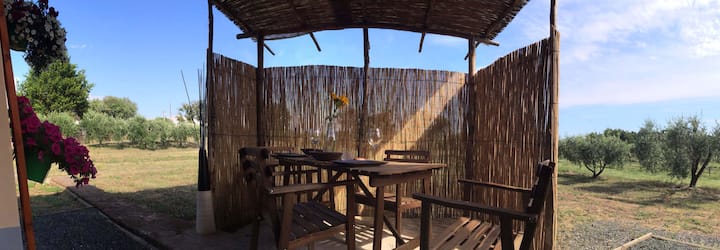 Cottage In The Tuscan Countryside - Castiglione della Pescaia