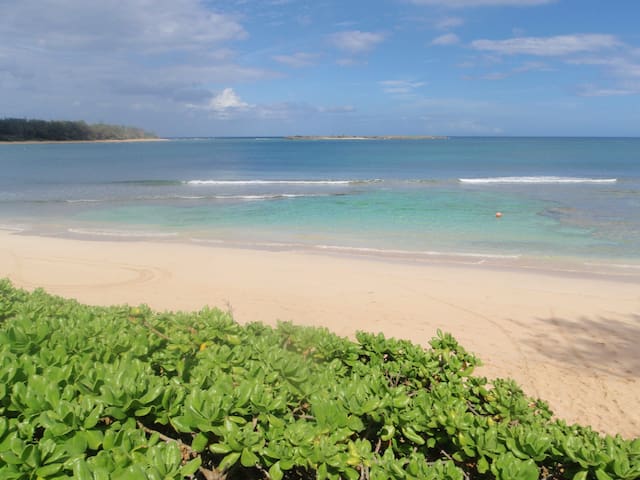 PRIVATE 1 BEDROOM  BEAUTIFUL BEACH FRONT