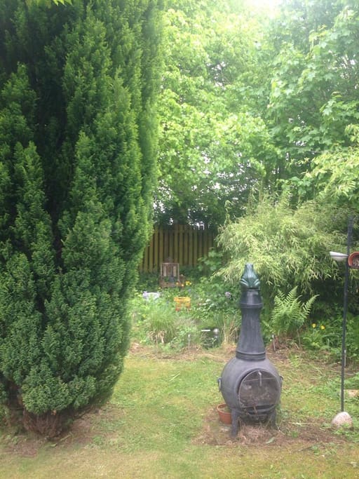 Secluded quiet garden