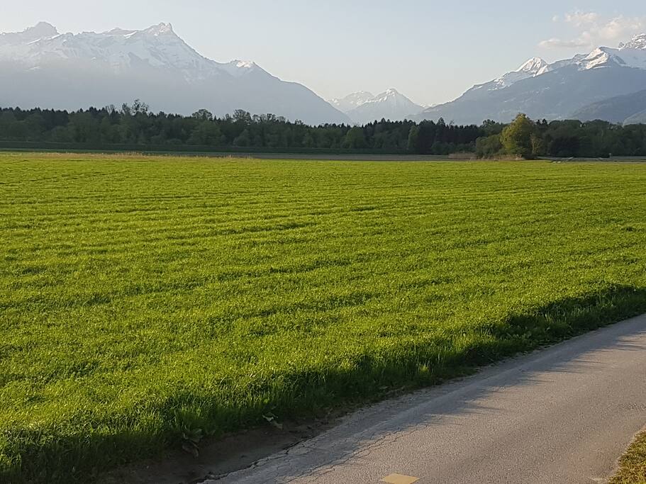la vue depuis la maison