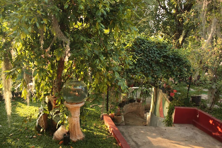 Amma's Dream (Mom's Dream)