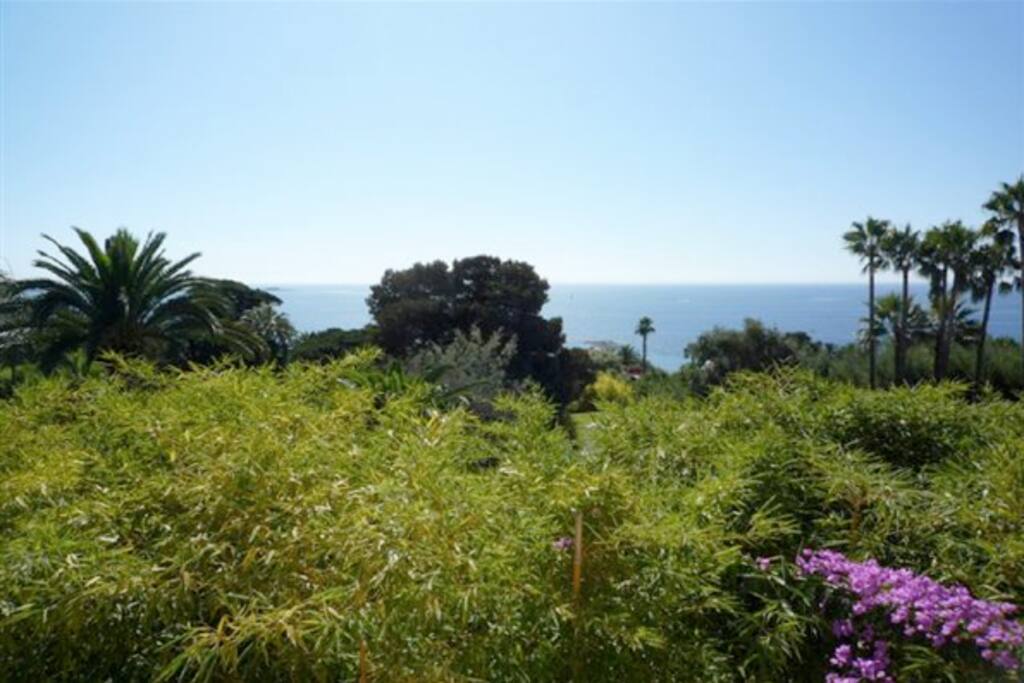 Sea view