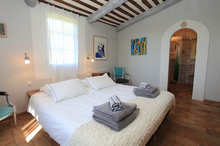 SUITE RONSARD - Planta baja: La Habitación 1 Master Suite con  cama doble de memoria de forma 180x190
Baño contiguo con bañera de hidromasaje y ducha a ras de suelo.
Armario grande