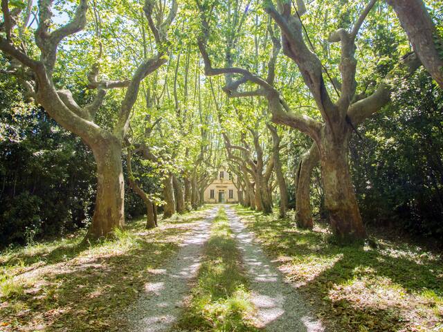 Flat in historic villa on the hills