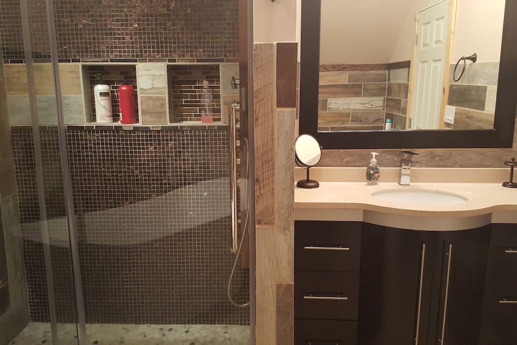 Beautiful brand new bathroom with soaking tub and amazing shower massage panel