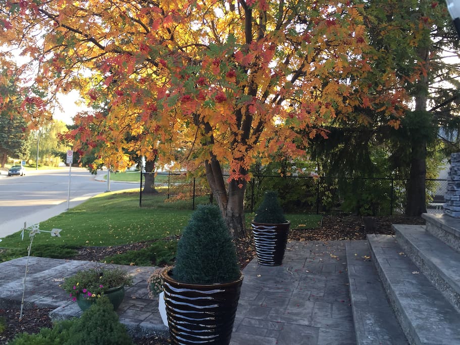 Front steps of the house in fall season.