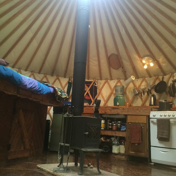 13 Best Yurts In Alaska, USA Updated 2024 Trip101