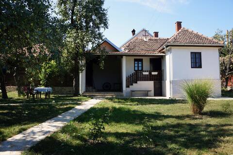 Etno house in the heart of Serbia