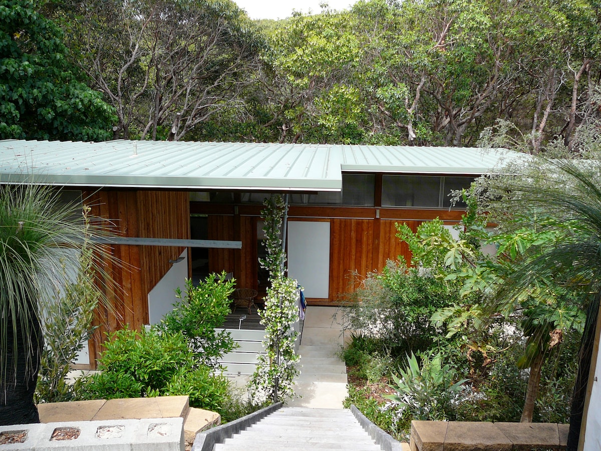 A contemporary house is nestled among lush greenery, featuring a mix of timber and modern materials. The entrance is framed by native plants, with a pathway leading up to the porch and large glass windows reflecting the natural surroundings.