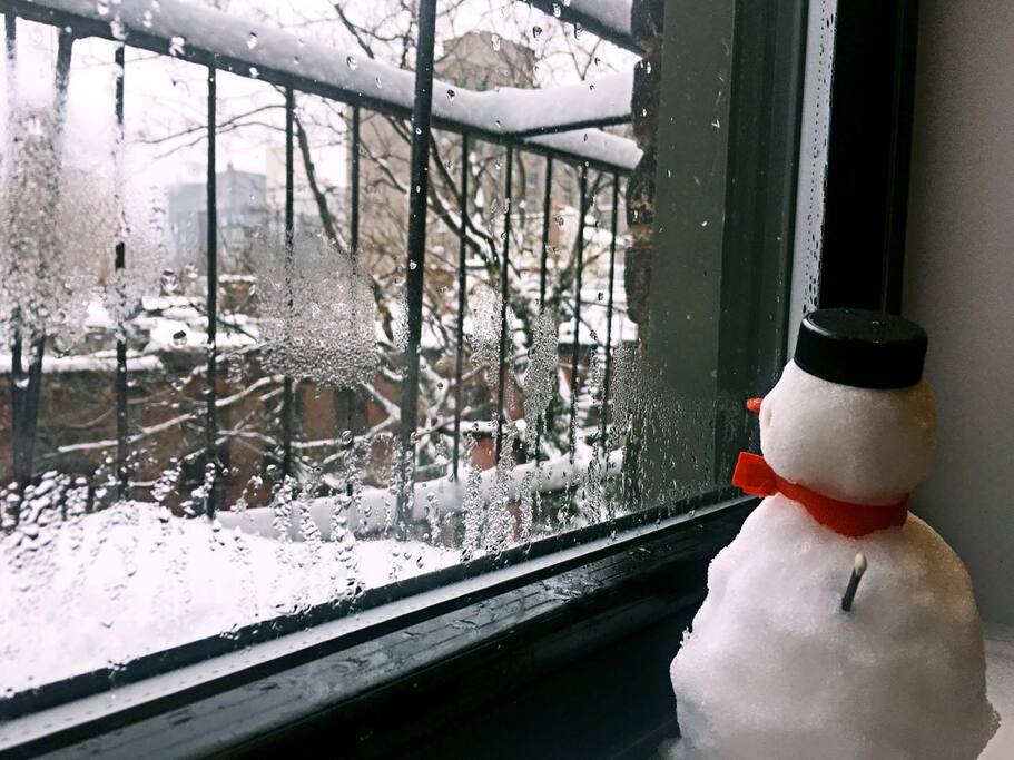 Window View