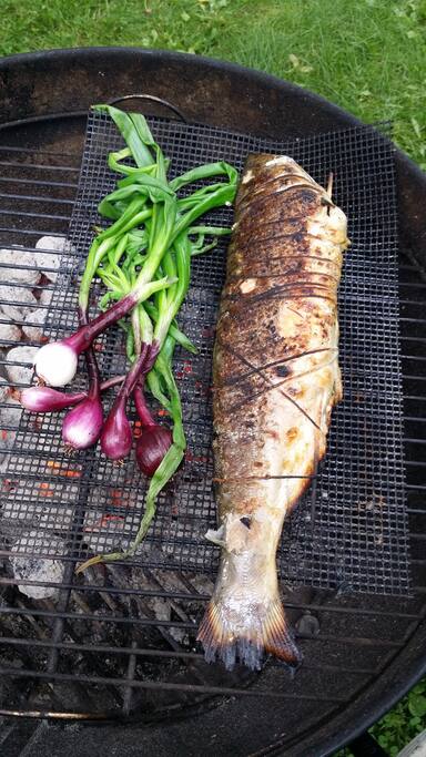 Fresh fish direct from the lake around the corner