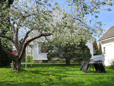 Centrally located house in Skien