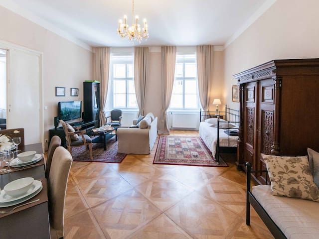 Large 2-bedroom apartment by Judenplatz