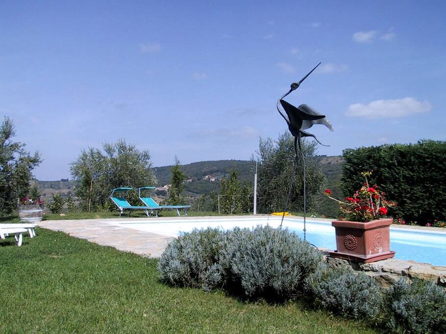 Our Pool with a bird sculpture