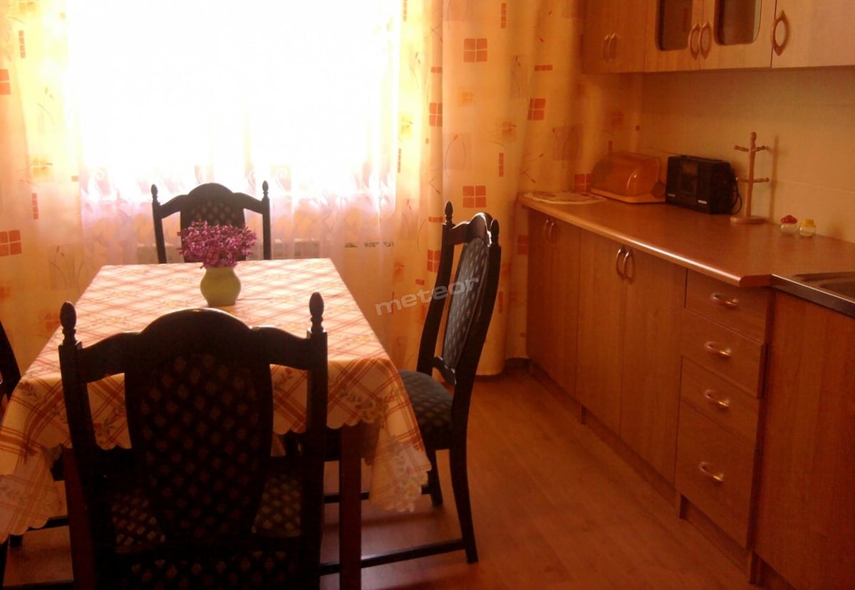 A dining area is featured with a table surrounded by four chairs, situated near a bright window covered by light curtains. A small potted plant adds a touch of color, and kitchen appliances are arranged on the countertop, providing a functional space.